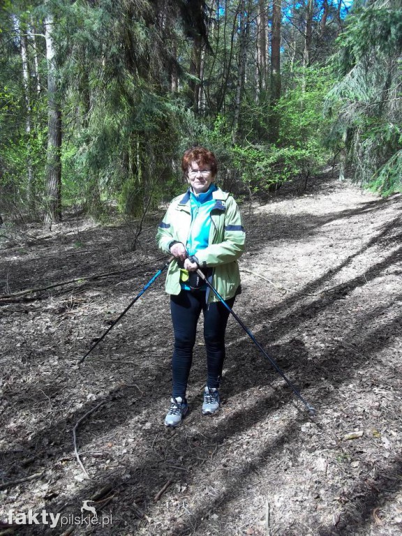 Nordic Walking po leśnych duktach