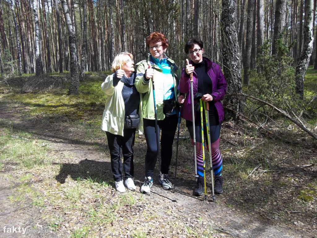 Nordic Walking po leśnych duktach