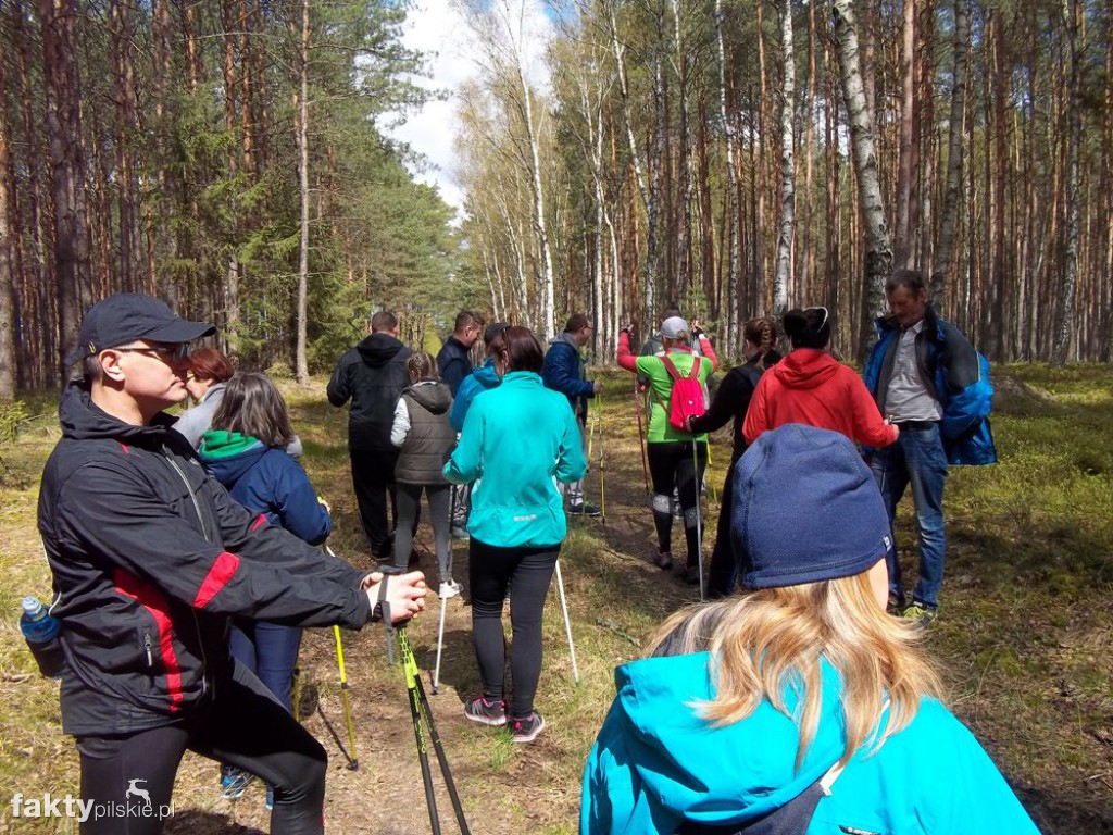 Nordic Walking po leśnych duktach