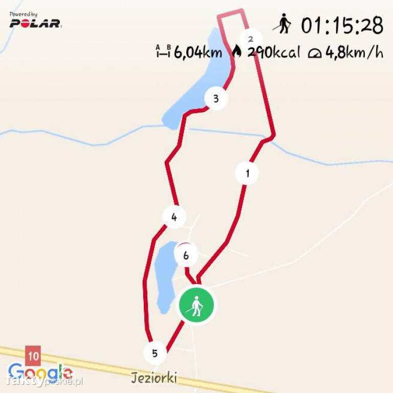 Nordic Walking po leśnych duktach