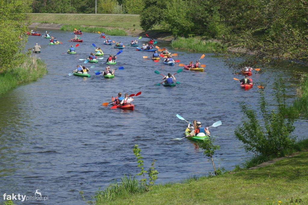VII Masa Kajakowa w Pile