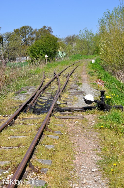 Kilka godzin na Żuławach