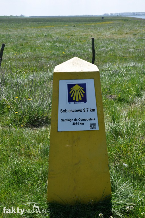 Kilka godzin na Żuławach