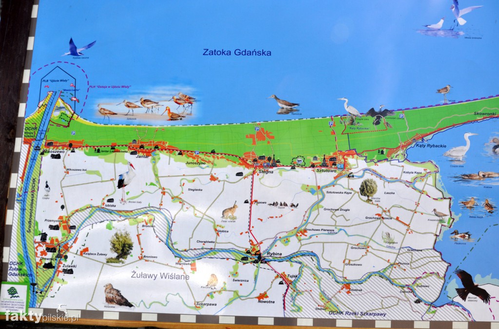 Kilka godzin na Żuławach