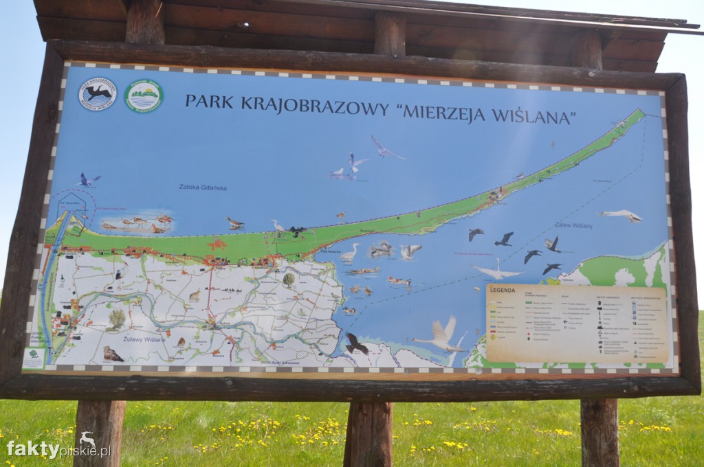 Kilka godzin na Żuławach