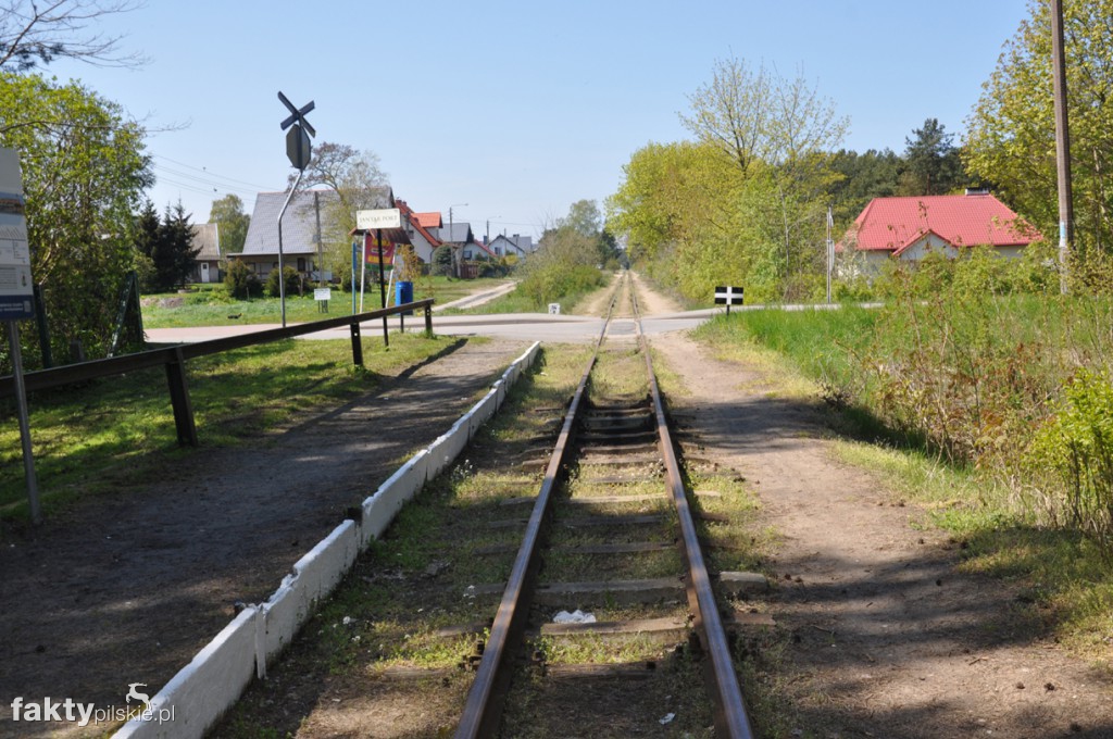 Kilka godzin na Żuławach