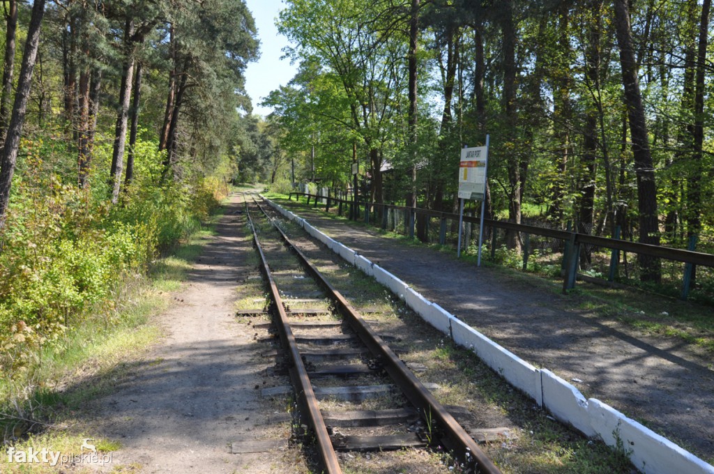 Kilka godzin na Żuławach