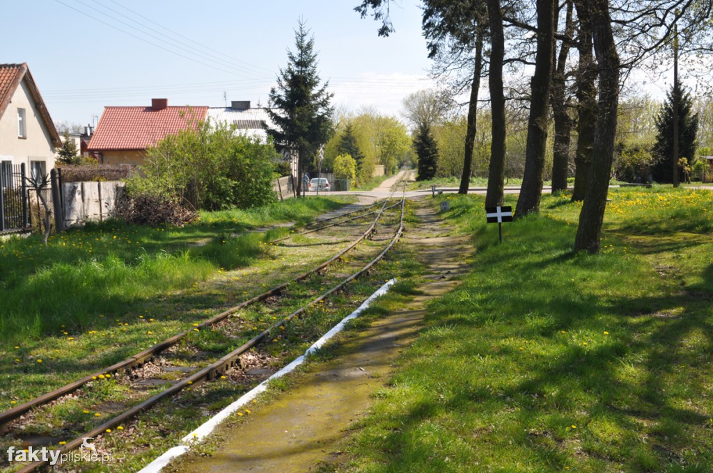 Kilka godzin na Żuławach