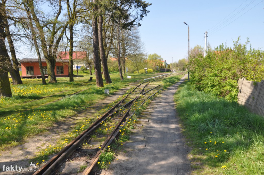 Kilka godzin na Żuławach