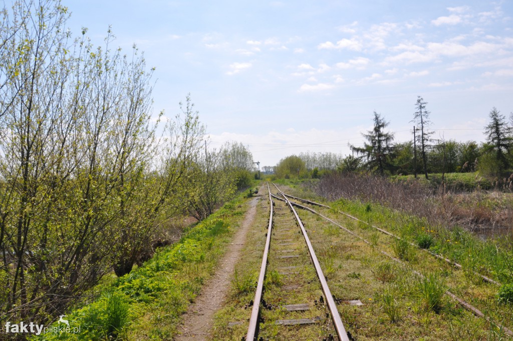 Kilka godzin na Żuławach