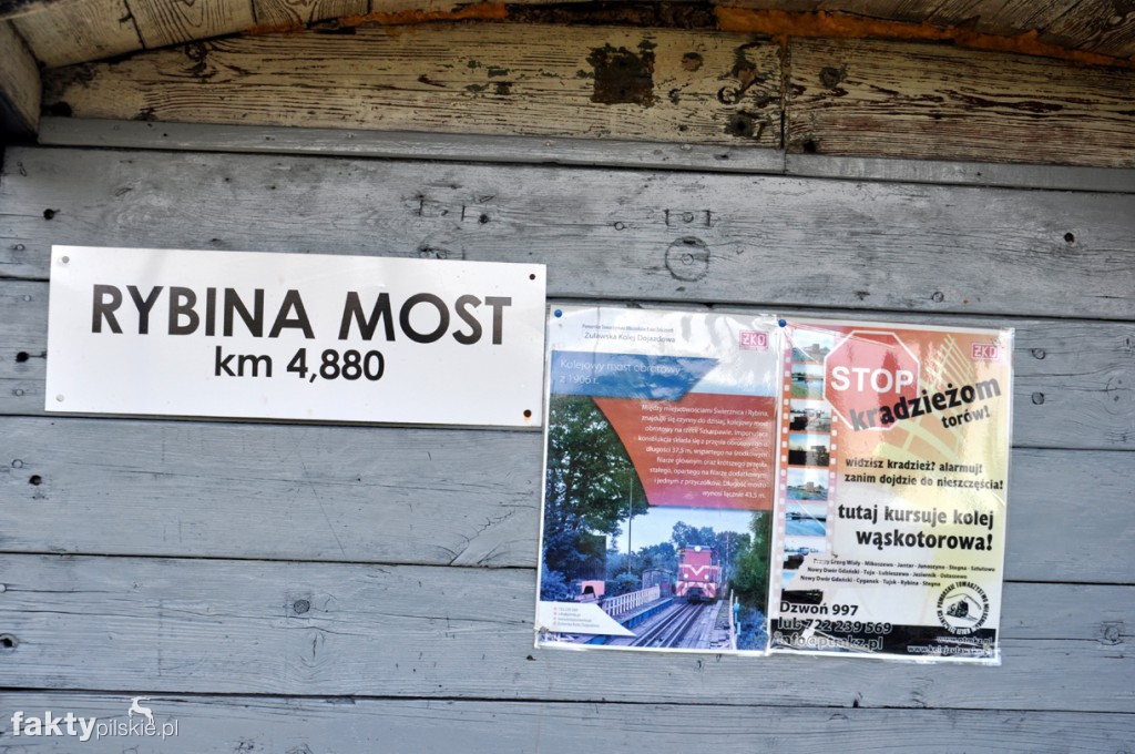 Kilka godzin na Żuławach