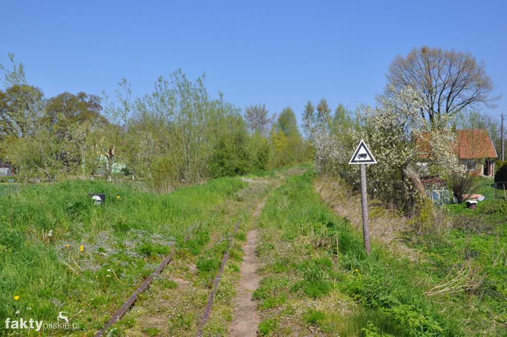 Kilka godzin na Żuławach