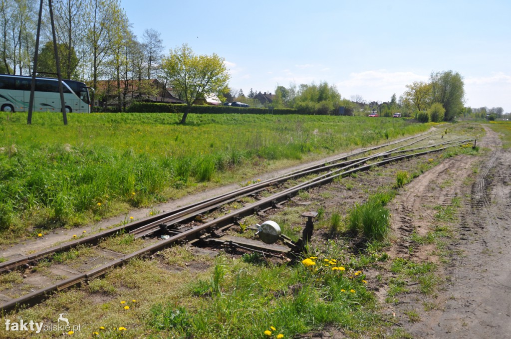 Kilka godzin na Żuławach