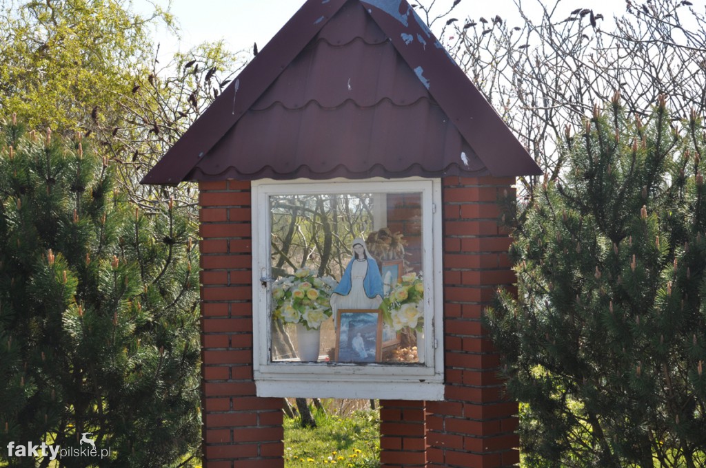 Kilka godzin na Żuławach