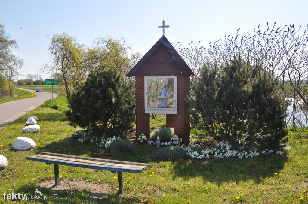 Kilka godzin na Żuławach