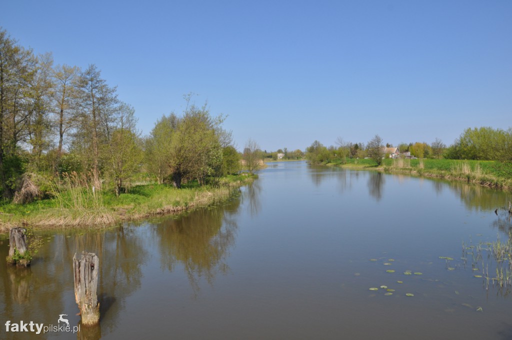 Kilka godzin na Żuławach