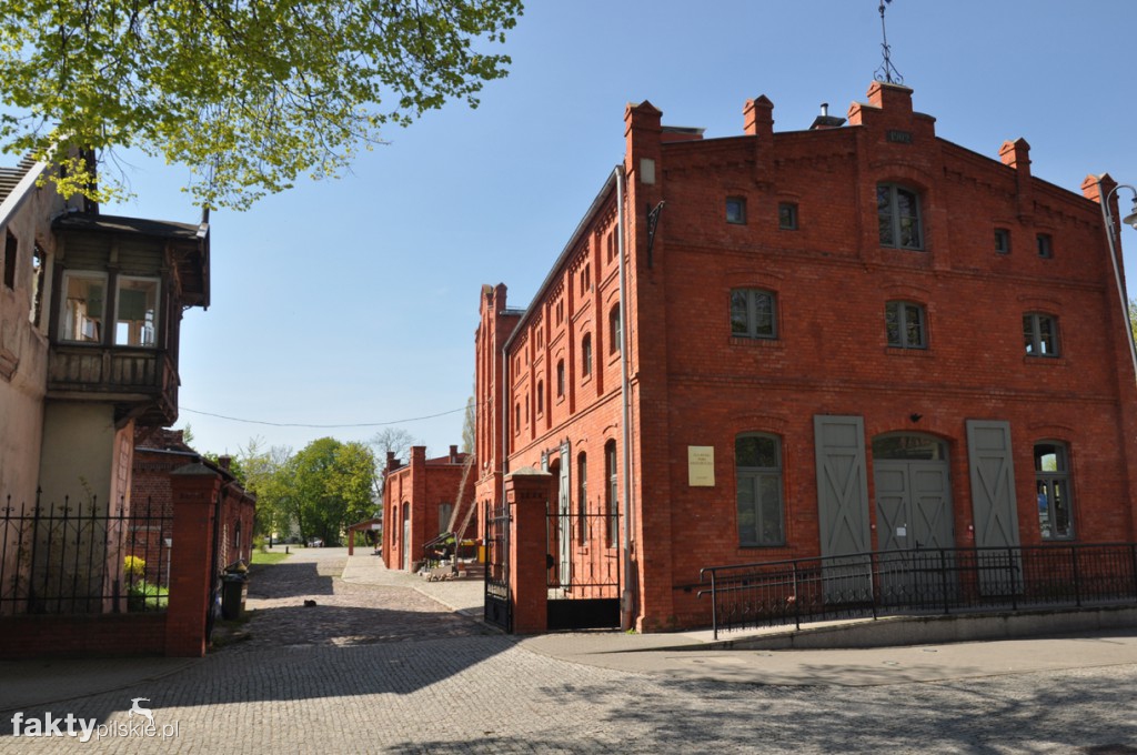 Kilka godzin na Żuławach