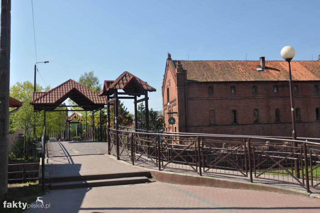 Kilka godzin na Żuławach