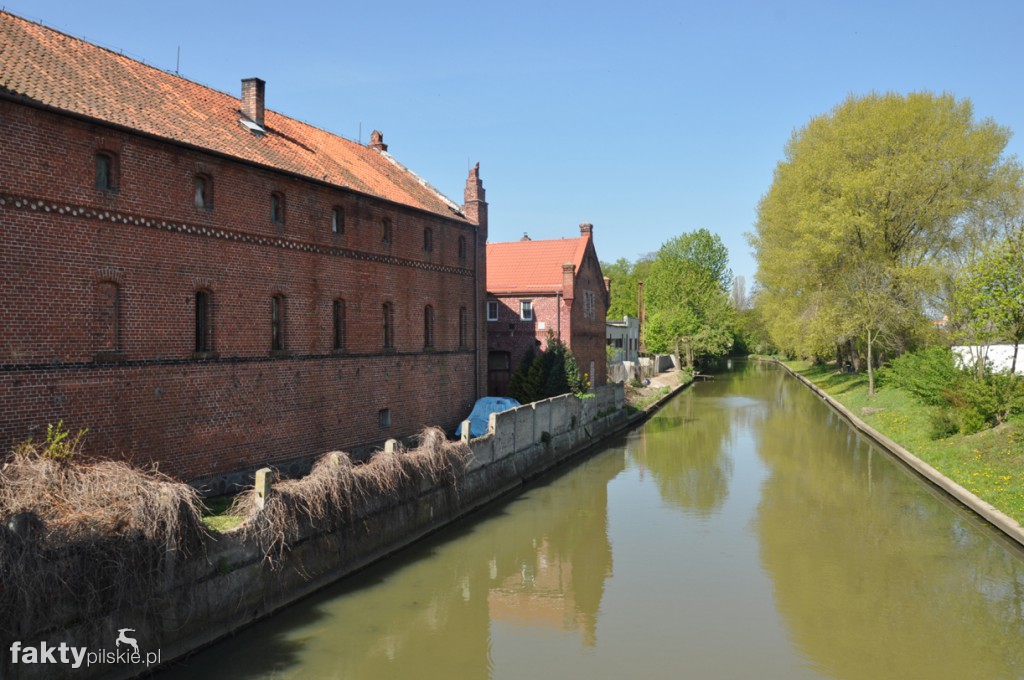 Kilka godzin na Żuławach