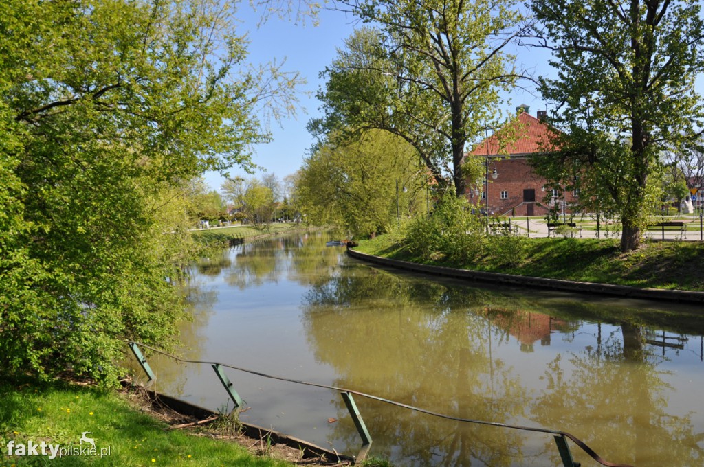 Kilka godzin na Żuławach