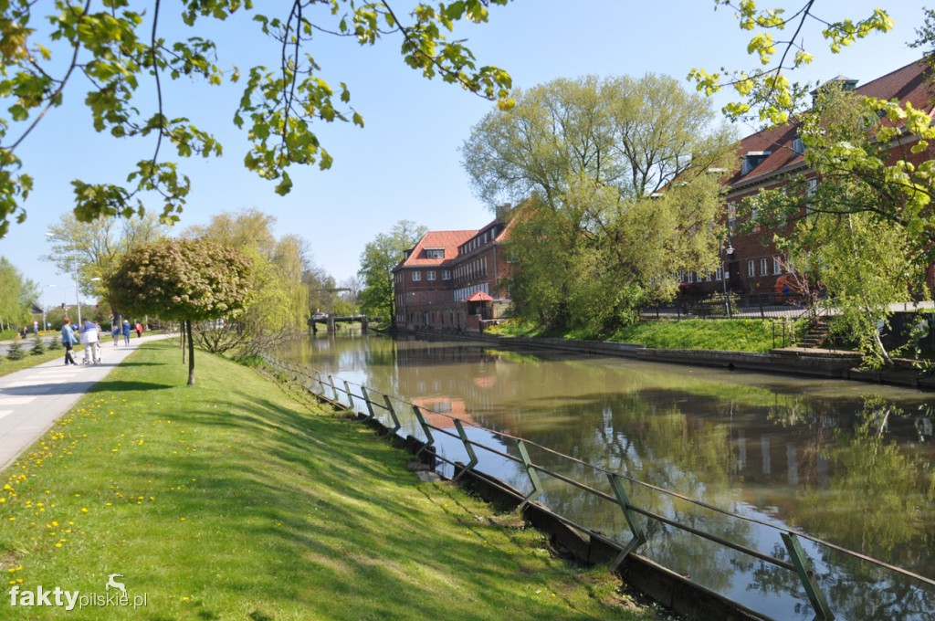 Kilka godzin na Żuławach