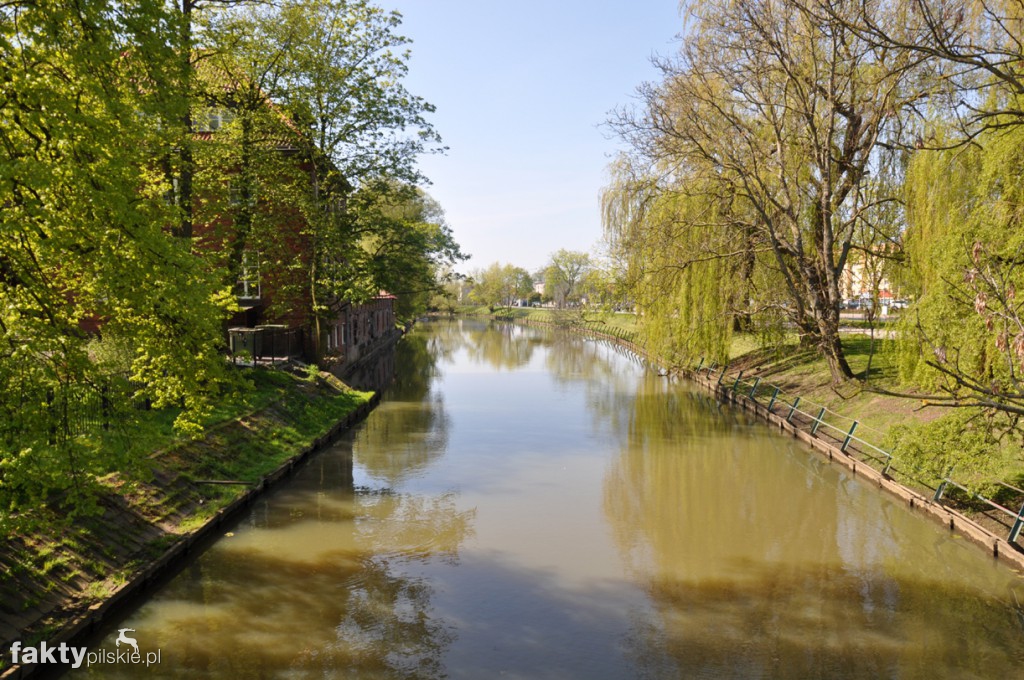 Kilka godzin na Żuławach