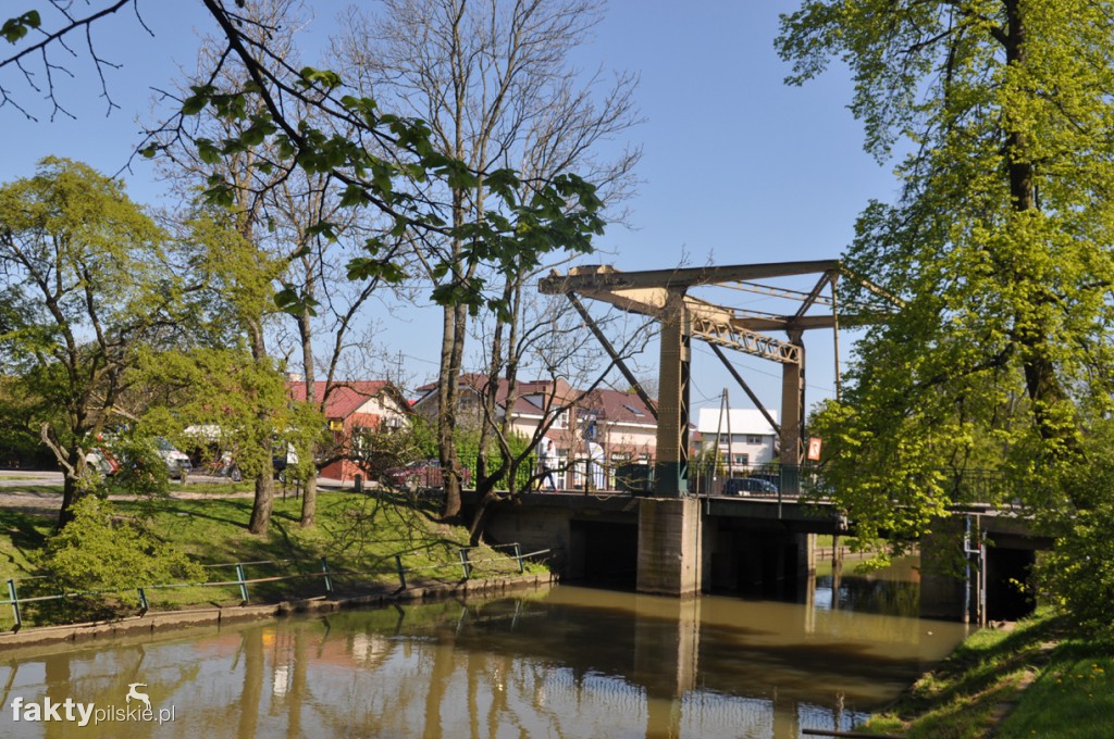 Kilka godzin na Żuławach