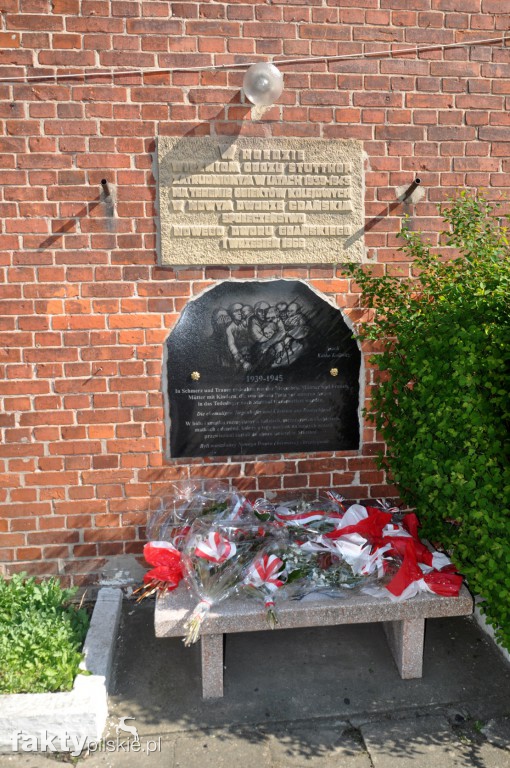 Kilka godzin na Żuławach