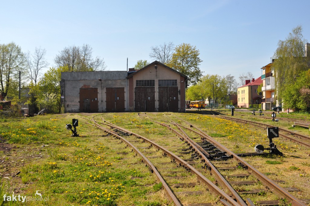 Kilka godzin na Żuławach