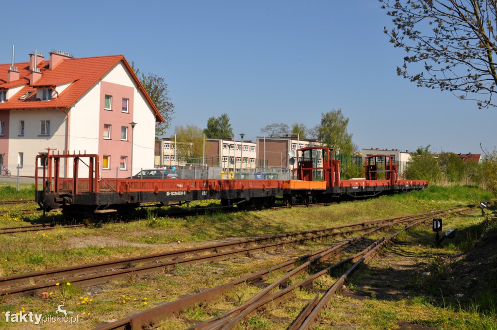 Kilka godzin na Żuławach