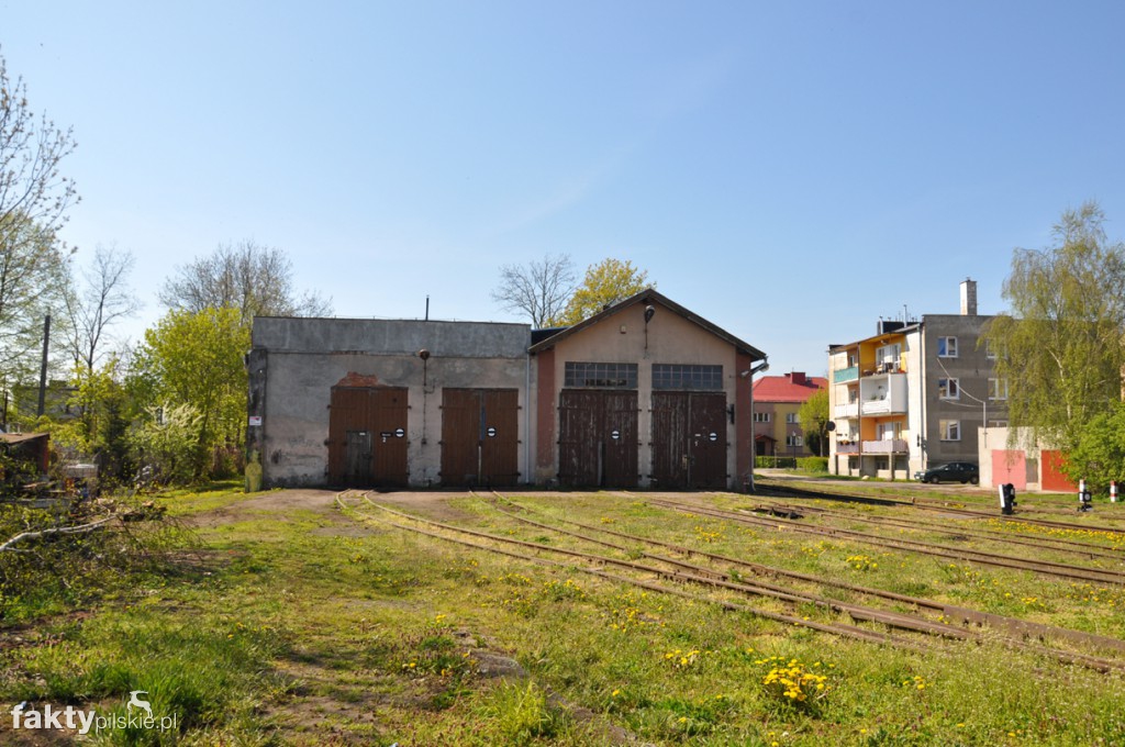 Kilka godzin na Żuławach