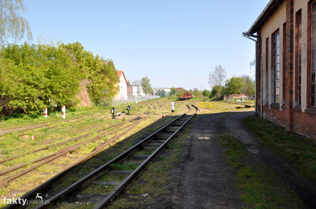 Kilka godzin na Żuławach