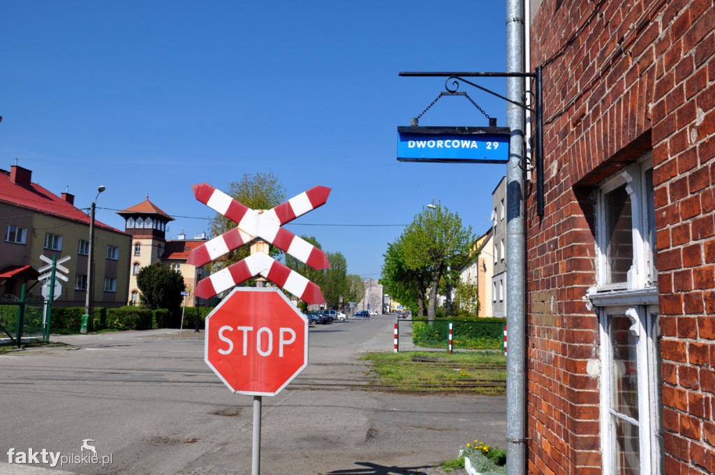 Kilka godzin na Żuławach