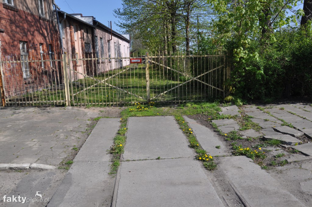 Kilka godzin na Żuławach