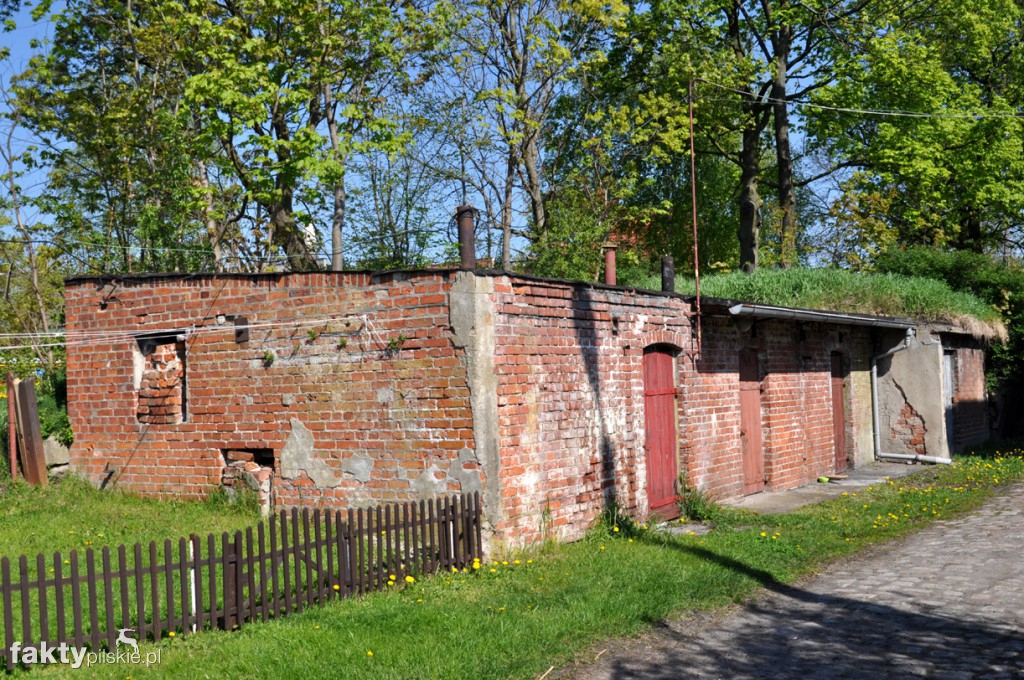 Kilka godzin na Żuławach