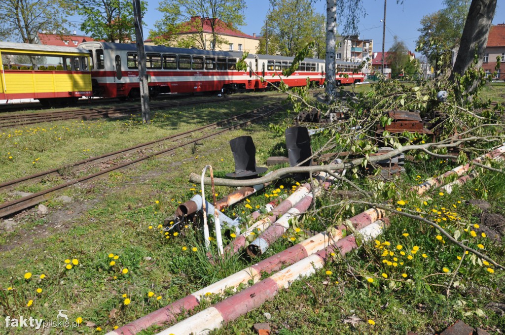 Kilka godzin na Żuławach