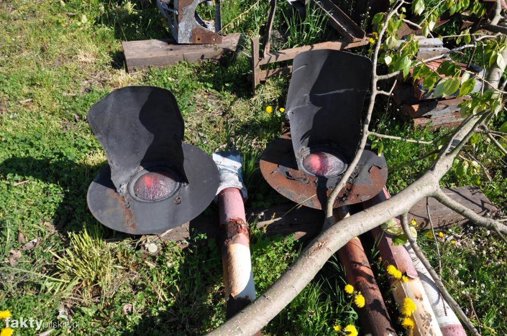 Kilka godzin na Żuławach