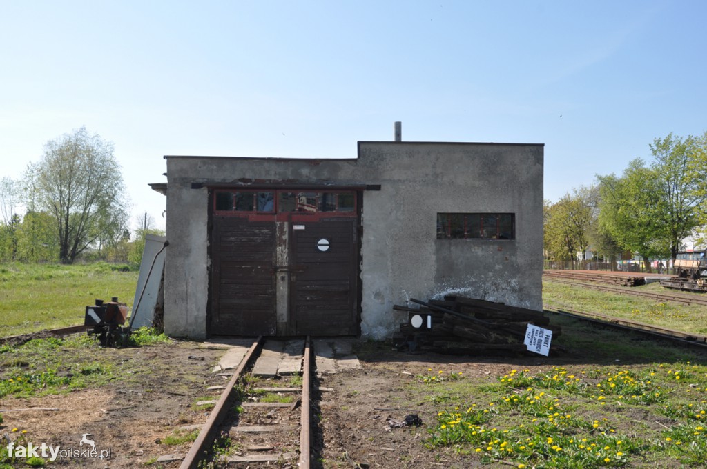 Kilka godzin na Żuławach