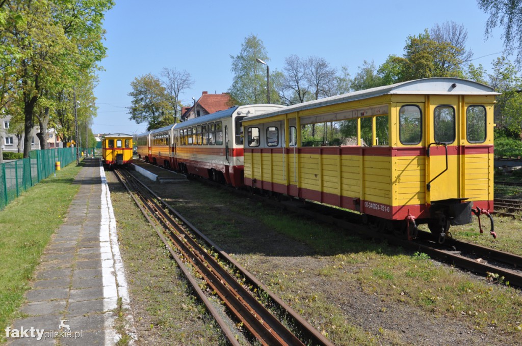 Kilka godzin na Żuławach