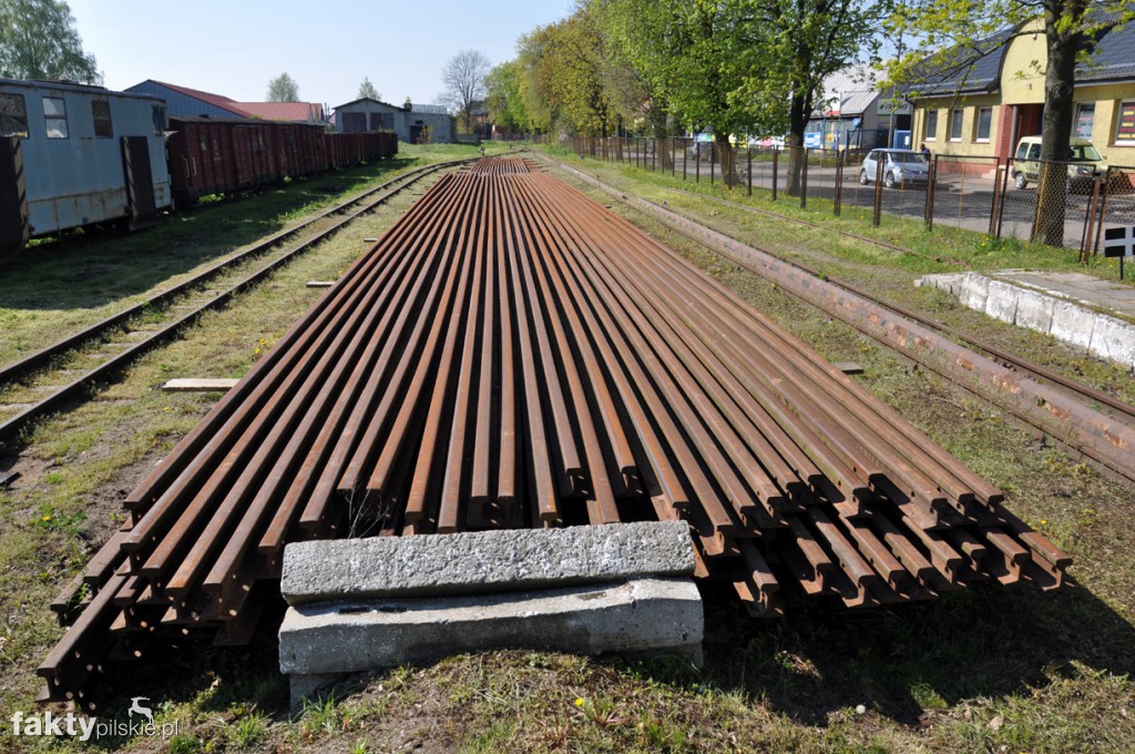 Kilka godzin na Żuławach