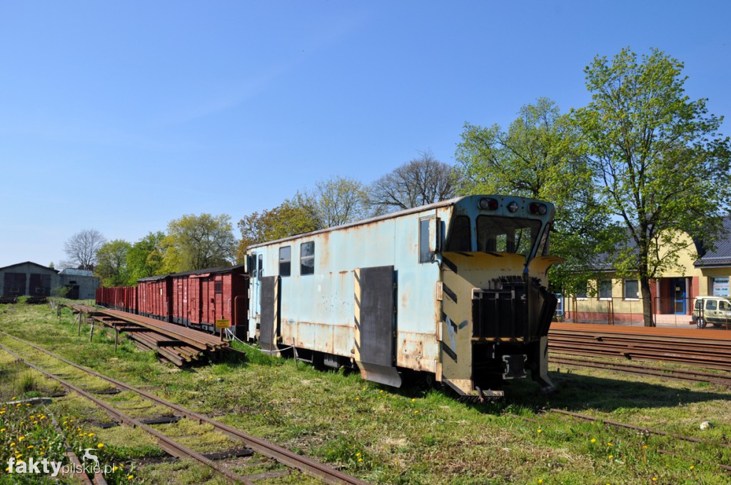 Kilka godzin na Żuławach