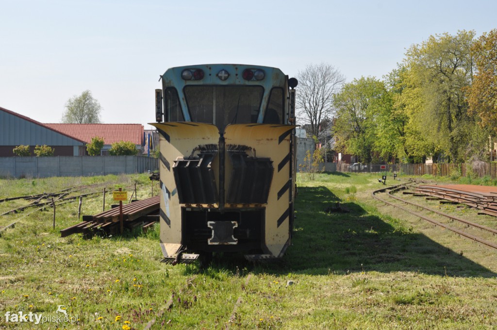 Kilka godzin na Żuławach