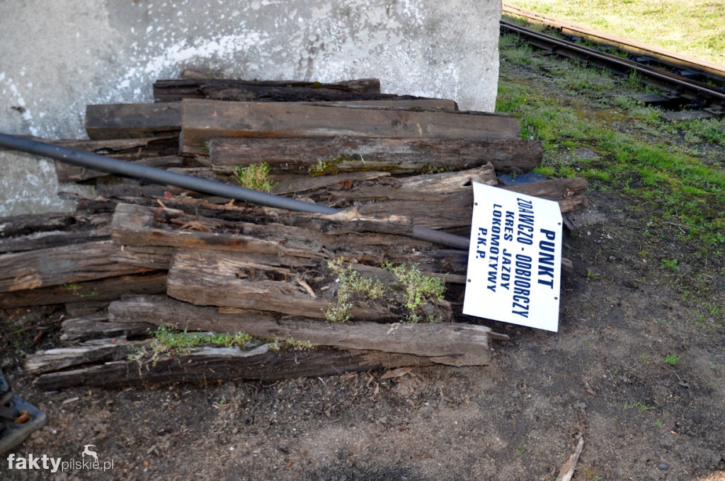 Kilka godzin na Żuławach