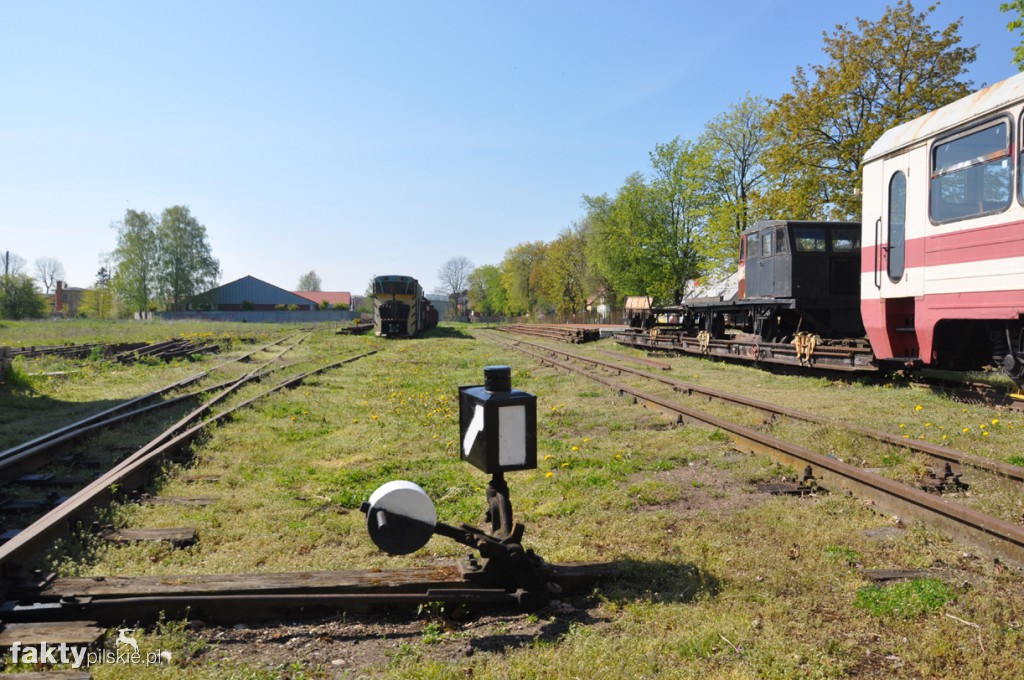 Kilka godzin na Żuławach