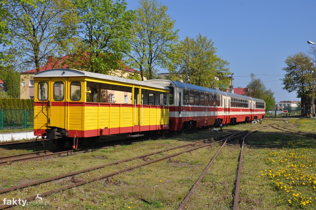 Kilka godzin na Żuławach