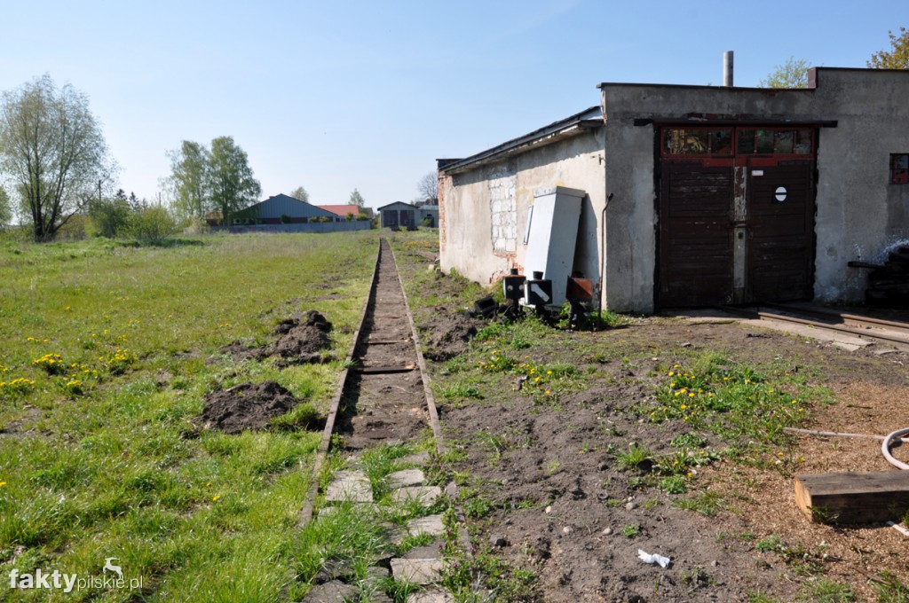 Kilka godzin na Żuławach