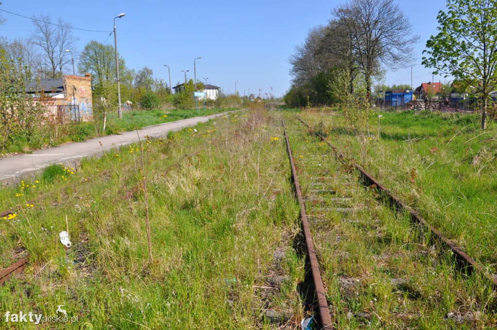 Kilka godzin na Żuławach