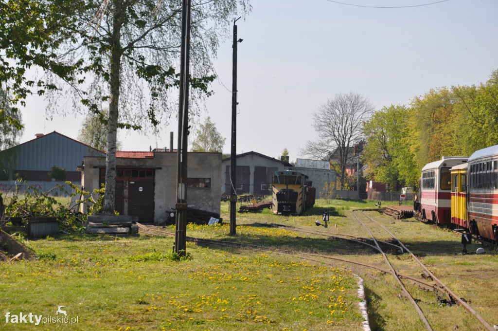 Kilka godzin na Żuławach