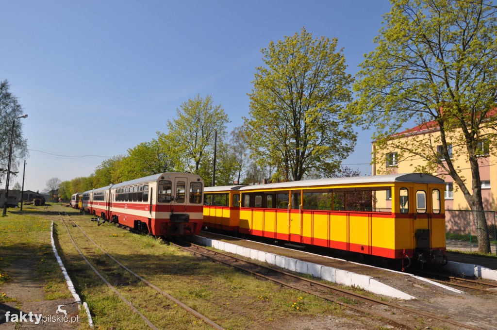 Kilka godzin na Żuławach