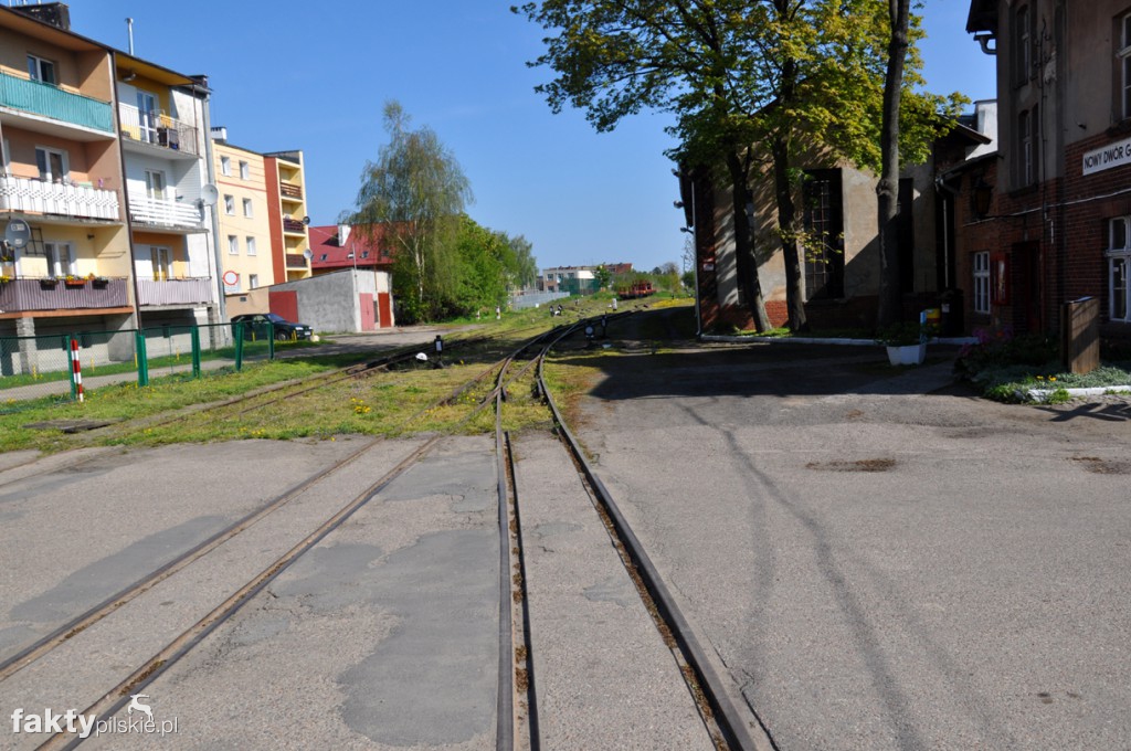 Kilka godzin na Żuławach